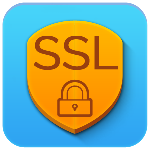 SSL encrypted online application